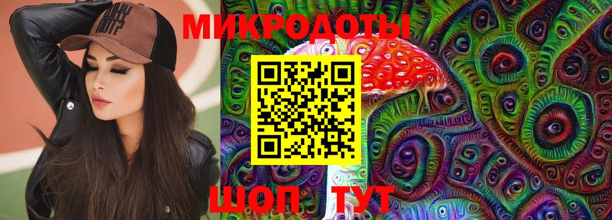 Кингисепп  Галлюциногенные грибы прущие грибы  Вход с VPN 