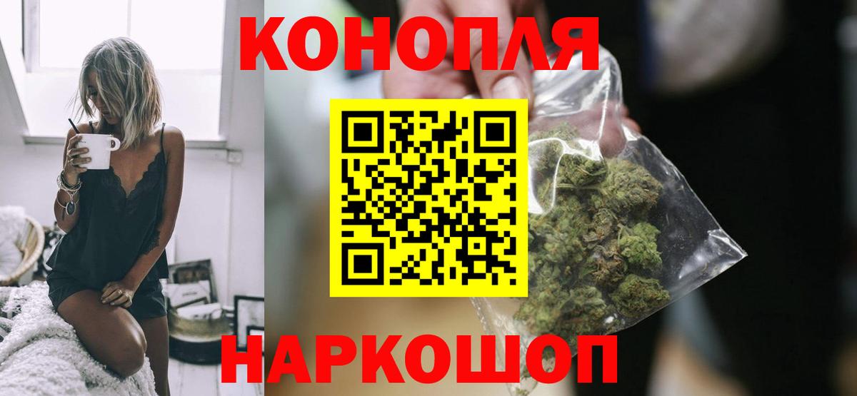 Канабис конопля Кингисепп
